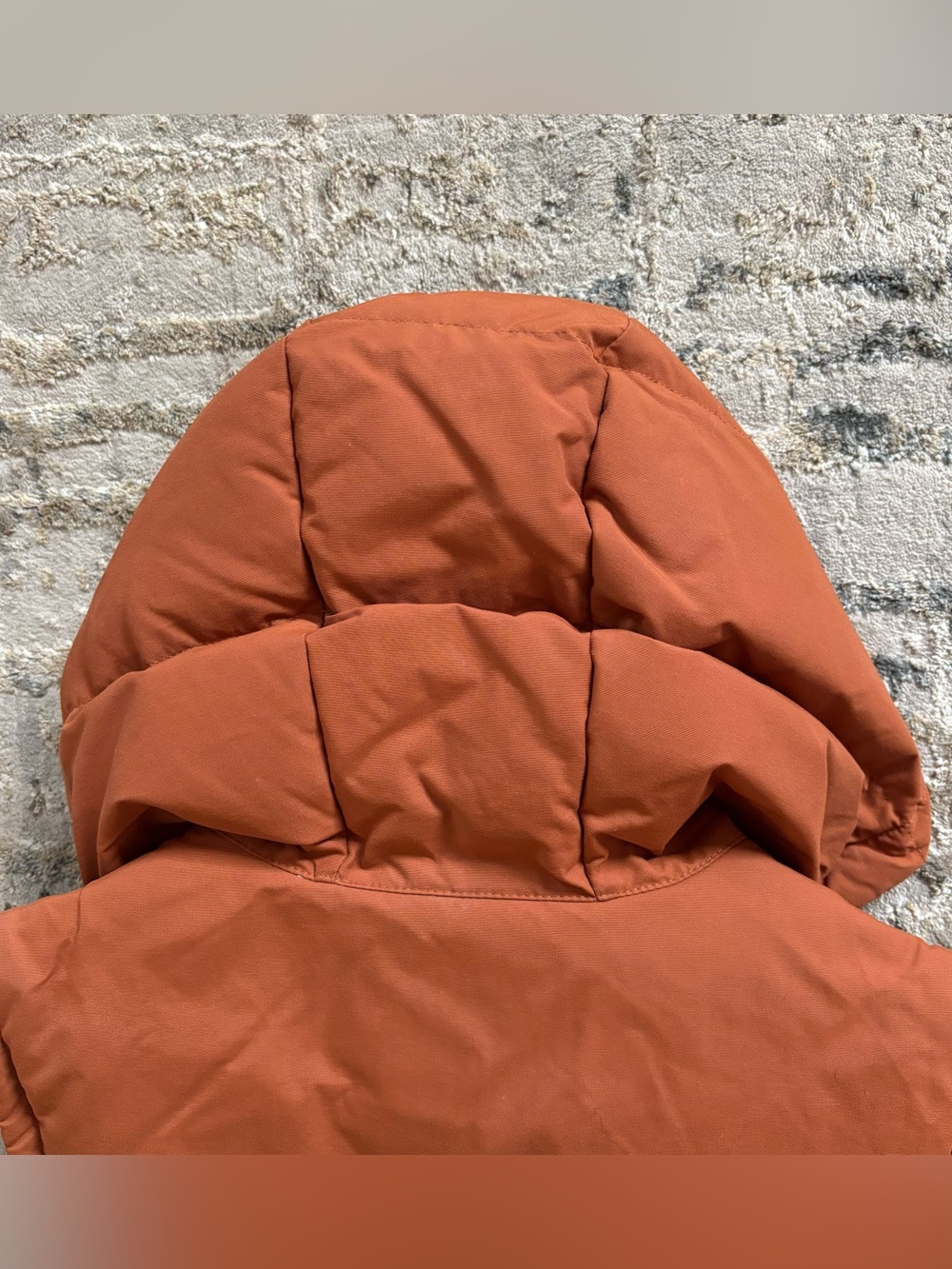 Patagonia Hooded Bivy Down Vest Mushroom Print Women’s XS Copper Blue - Picture 8 of 9